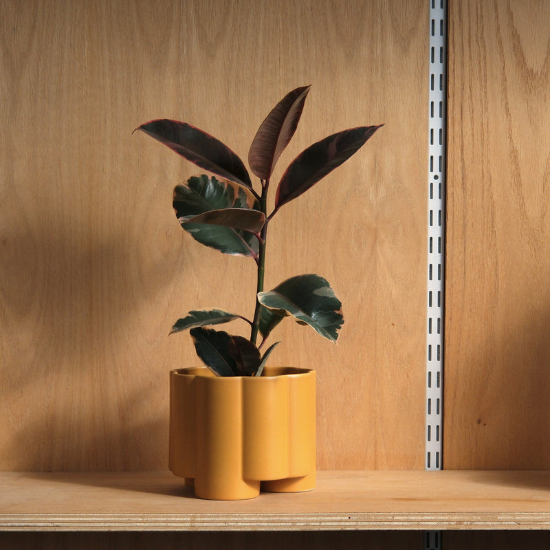 Pillar Planter — product image 1
