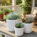 White Ceramic Planter Set of 3 | Fluted Pots with Saucers
