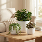 Groove Stoneware Planter Set of Three