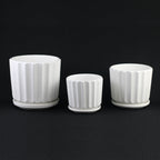 White Ceramic Planter Set of 3 | Fluted Pots with Saucers — product image 4