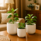 Groove Stoneware Planter Set of Three — product image 3