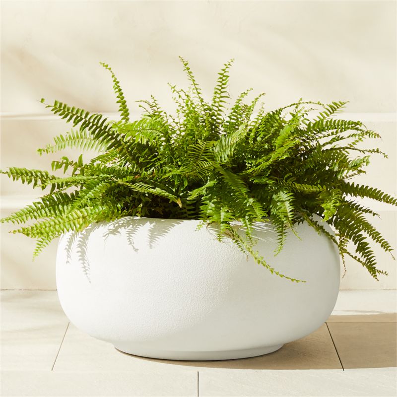 Anique Round Cement Indoor/Outdoor Planters - White - Medium 12"H