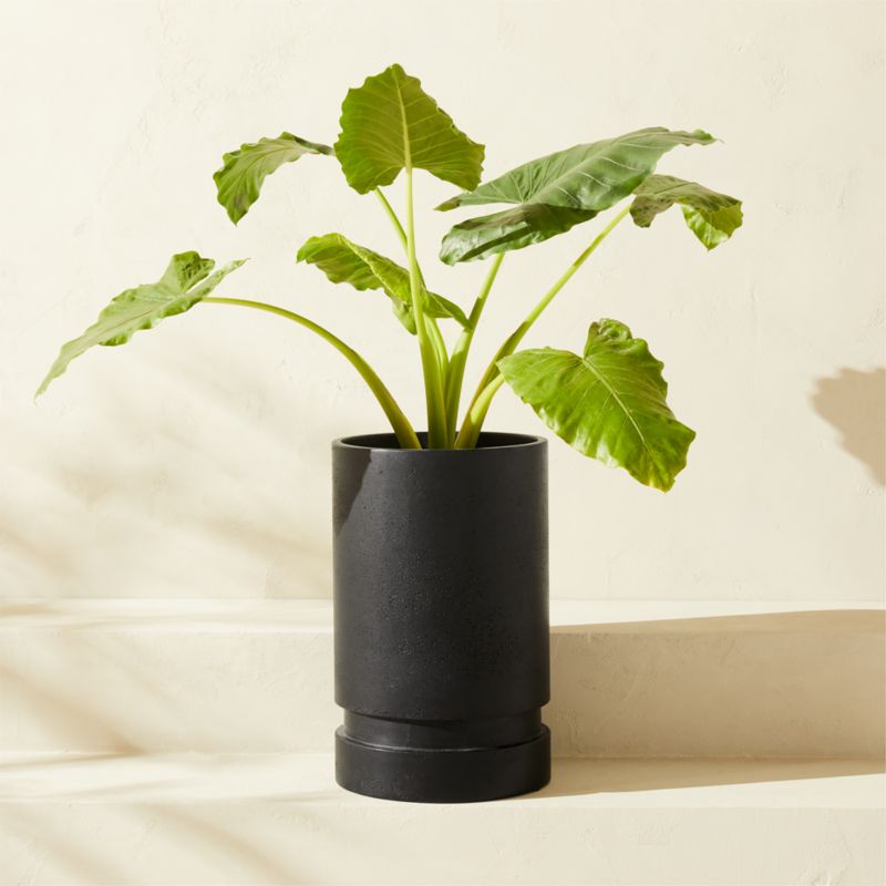 Argo Round Black Cement Indoor/Outdoor Planters - Black - Medium 21"H