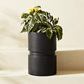 Argo Round Black Cement Indoor/Outdoor Planters - XL 17.25"H