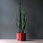 Pillar Planter — product image 7