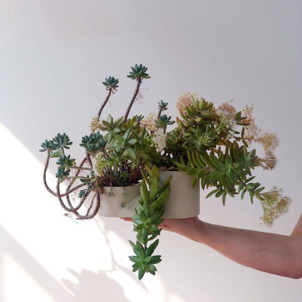 Misewell Double Planter in dune — two-tier handmade ceramic planter