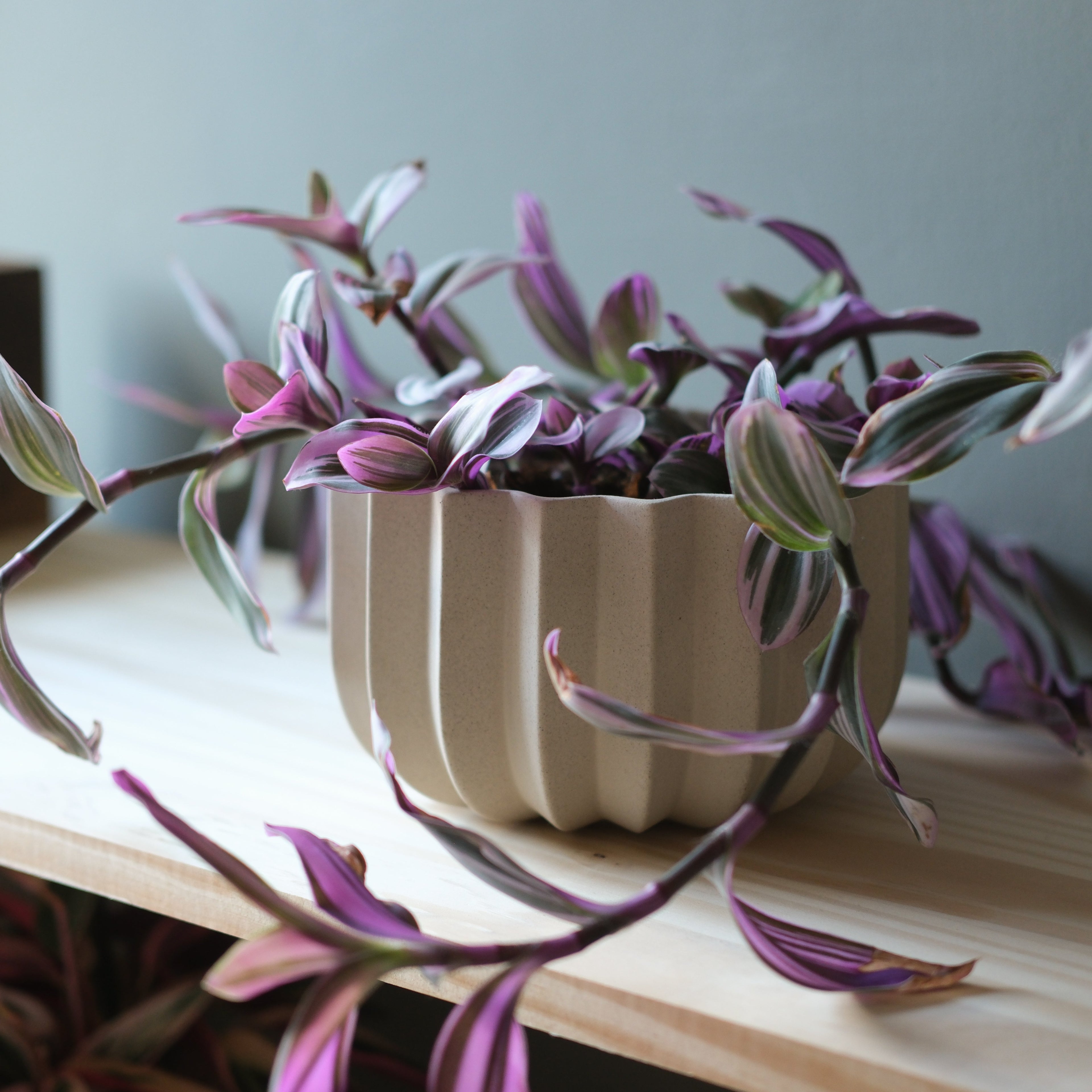Wrap Planter