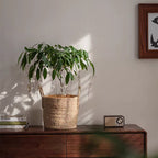 French Country Woven Planter Basket — product image 10