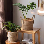 French Country Woven Planter Basket — product image 2