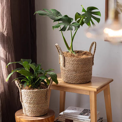 French Country Woven Planter Basket — product image 2