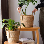 French Country Woven Planter Basket — product image 7