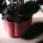 Pillar Planter — product image 6