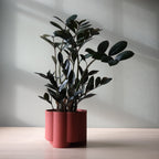 Pillar Planter — product image 5