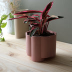 Pillar Planter — product image 3