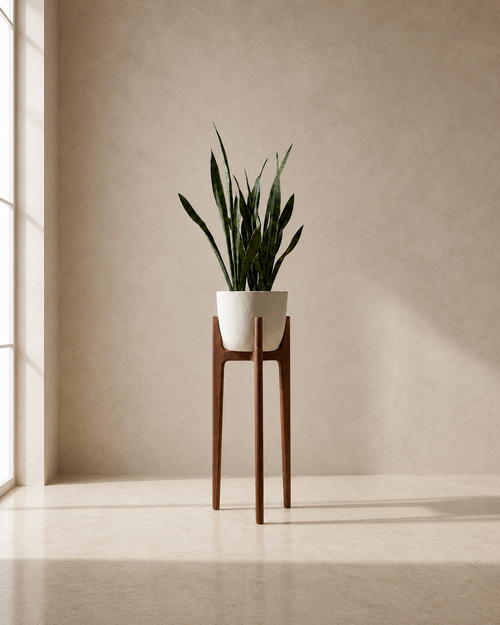 Ada walnut plant stand with a bone planter and snake plant in a limestone interior.