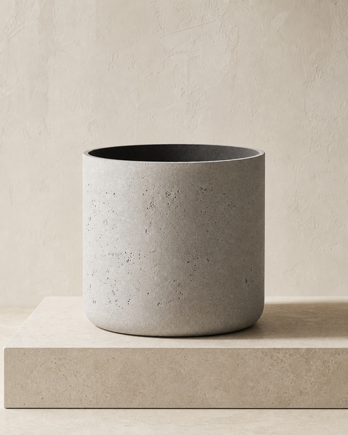 Agnes cement-grey cylindrical planter on a limestone plinth in warm natural light.