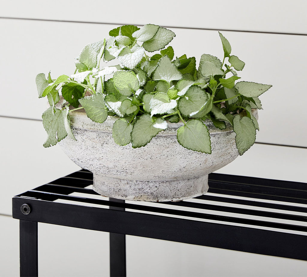 Artisan Planter Low Bowl, Small