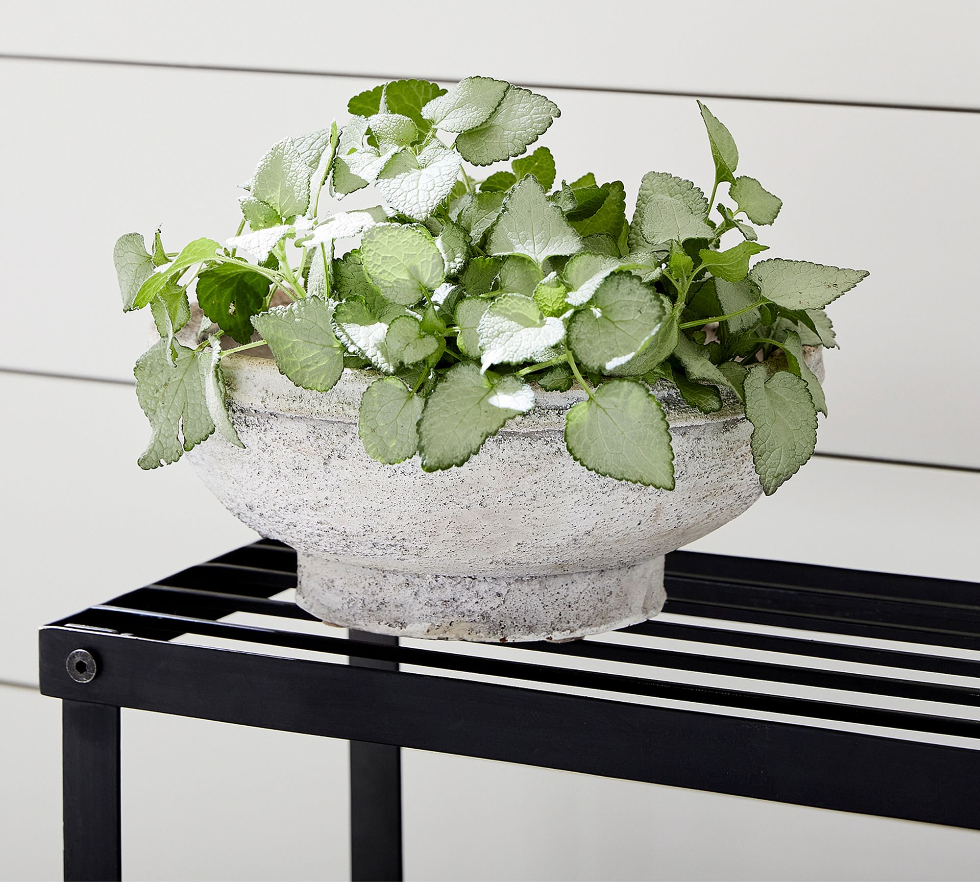 Artisan Planter Low Bowl, Small