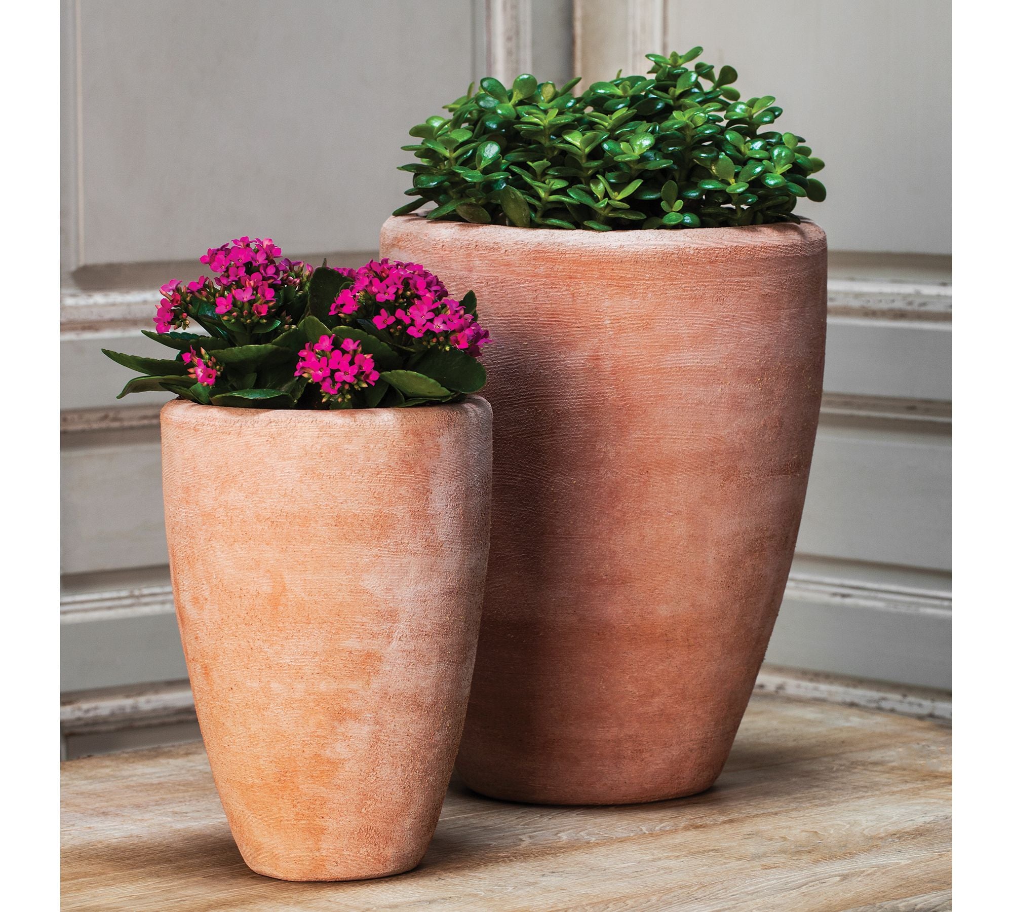 Belize Bowl Planter, Tall, Set of 2