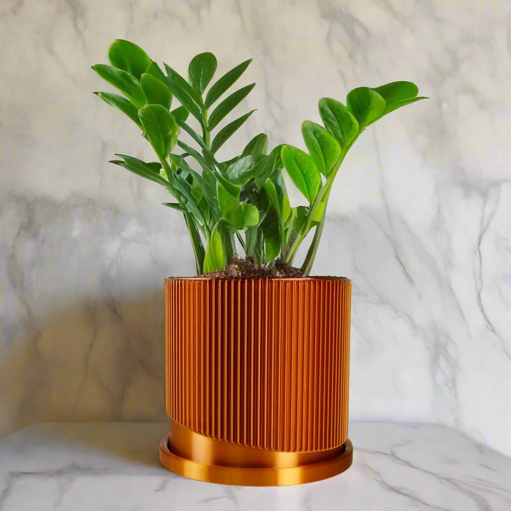 Wave Ribbed Planter with Saucer