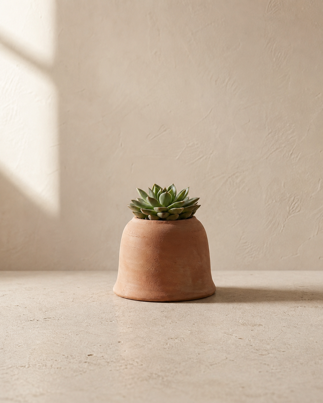 Cortona Bell Pot with succulent in warm architectural studio light