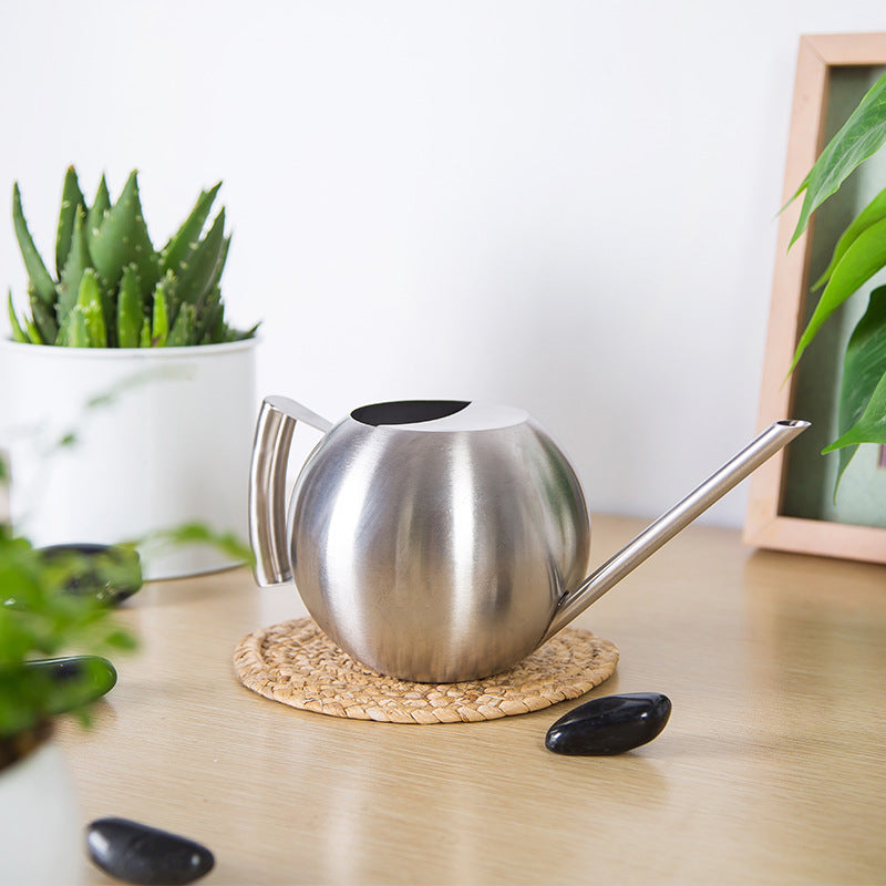 Modern Sphere Watering Can — Brushed Steel