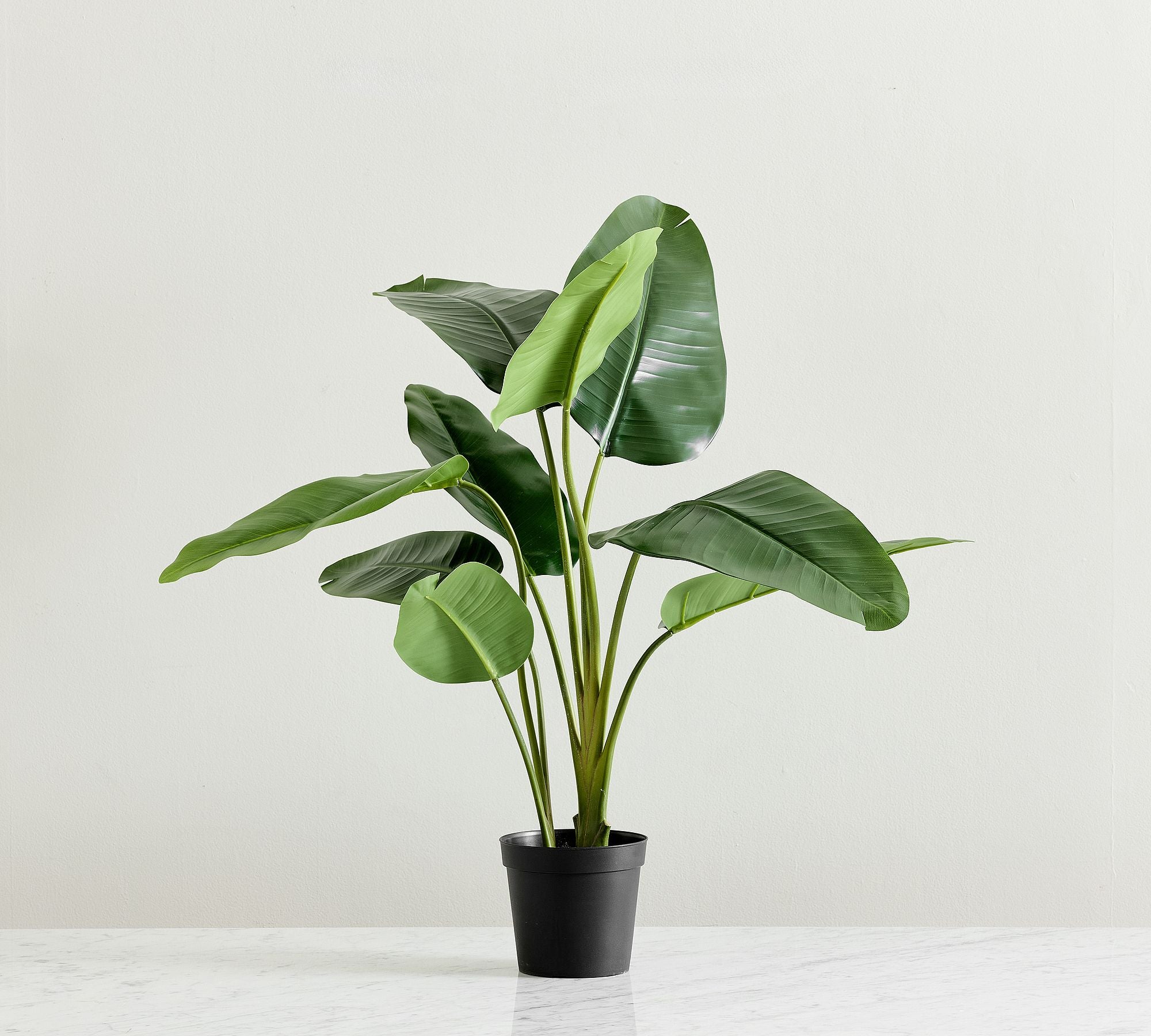 Banana Leaf Tree – 36"H