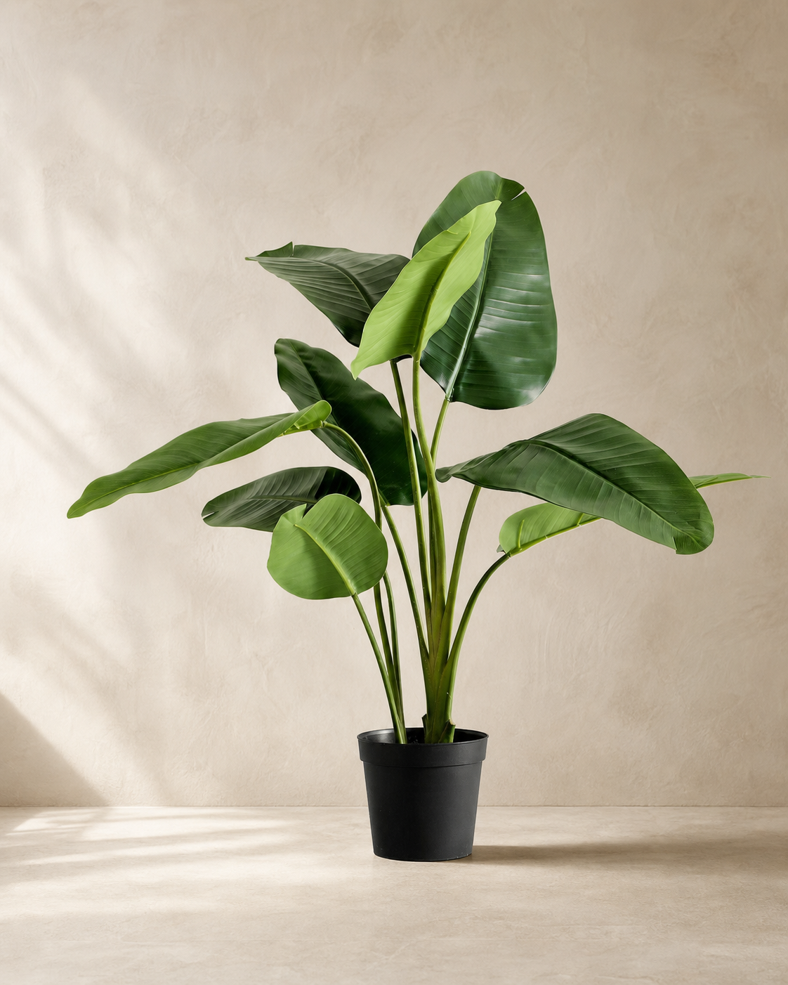 Faux Banana Leaf Tree in warm architectural studio light
