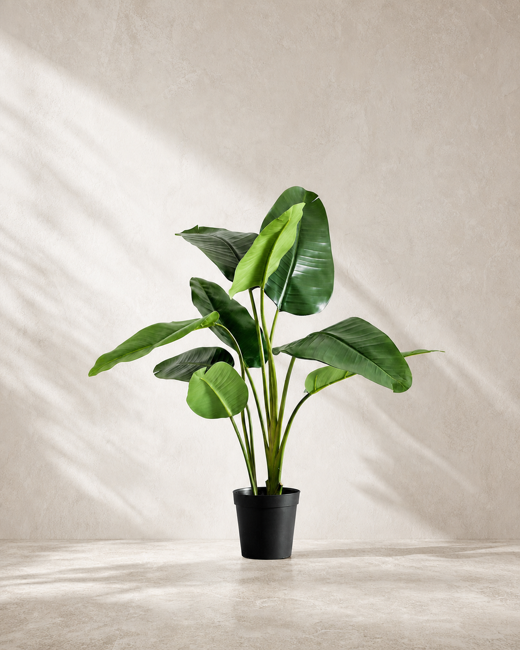 Faux banana palm tree in a black nursery pot against warm limewashed plaster.