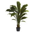 Faux Potted Birds Nest Plant