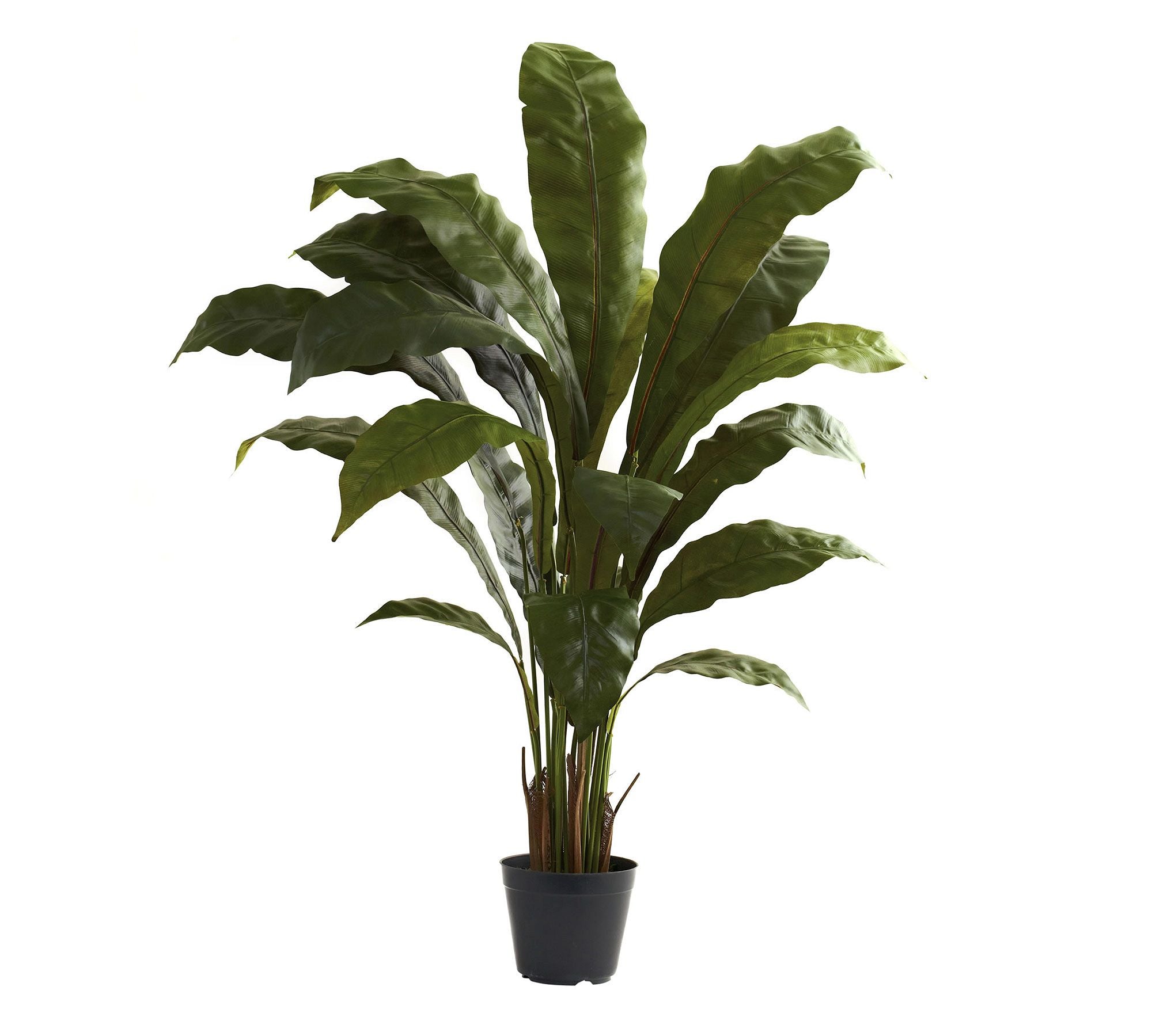 Faux Potted Birds Nest Plant