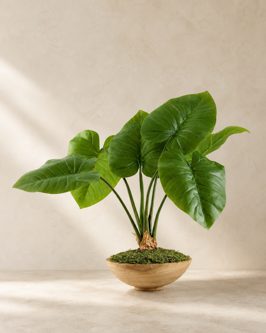 Faux Composed Elephant Ear Plant — Restoration Planters editorial hero