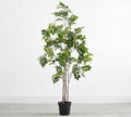 Faux Potted Green Leaf Tree, 6'H