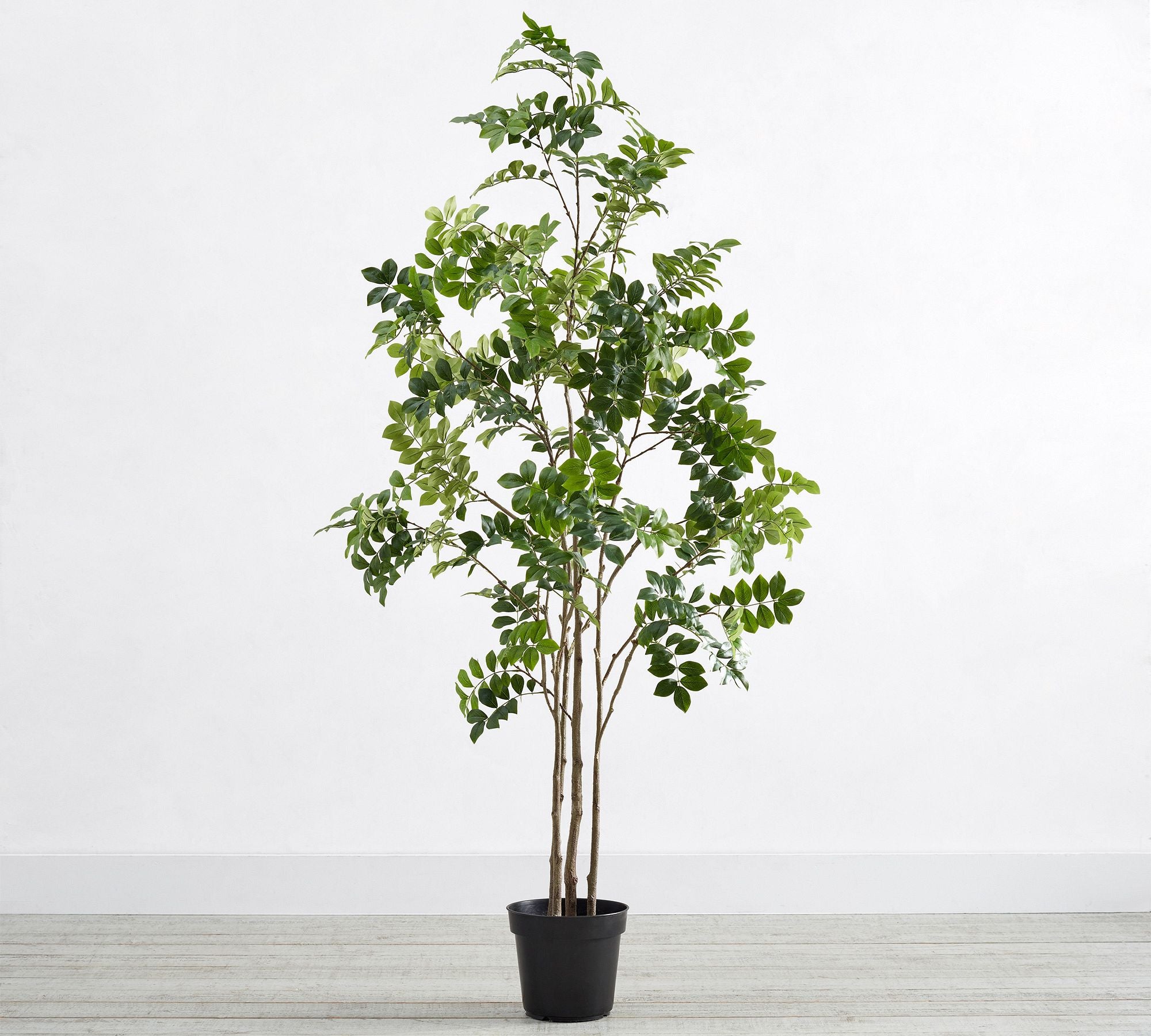 Faux Potted Green Leaf Tree, 6'H