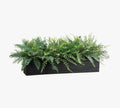 Faux Mixed Fern In Rectangular Planter, 16"