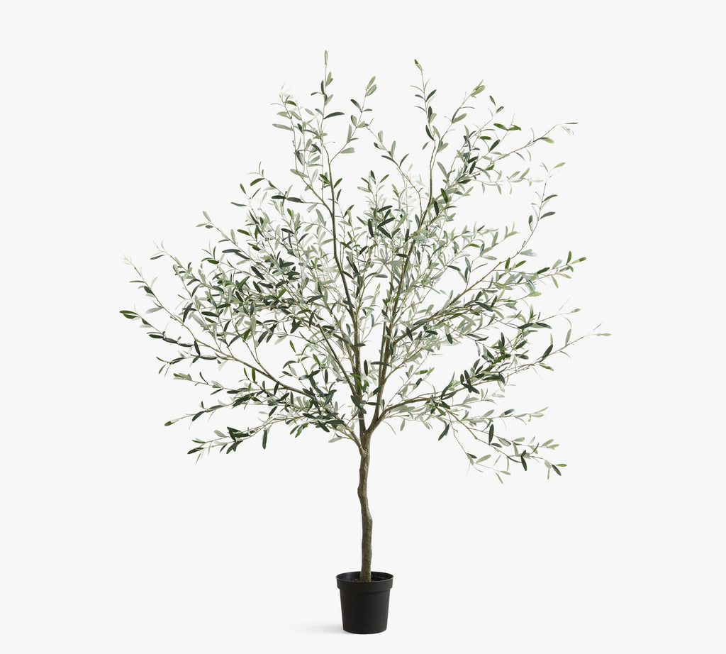 Faux Potted Olive Tree, 8', Green