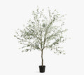 Faux Potted Olive Tree, 8', Green