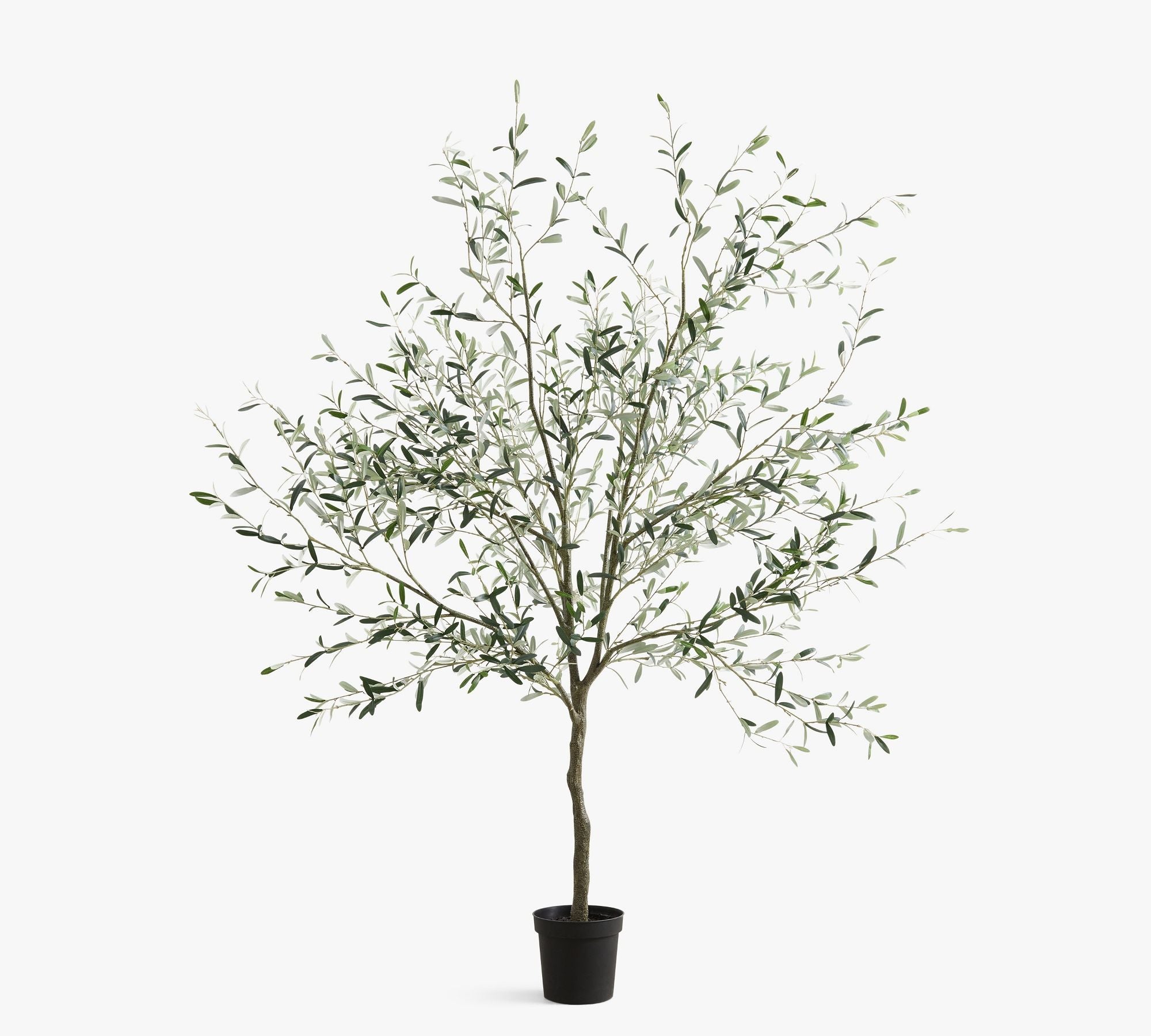 Faux Potted Olive Tree, 8', Green
