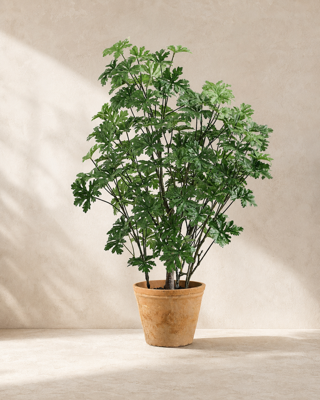 Faux Potted Citronella — Restoration Planters editorial hero