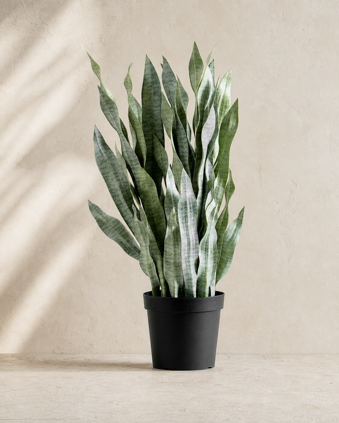 Faux Potted Faded Whale Fin — Restoration Planters editorial hero
