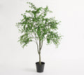 Potted Gypsophilia Tree 8Ft