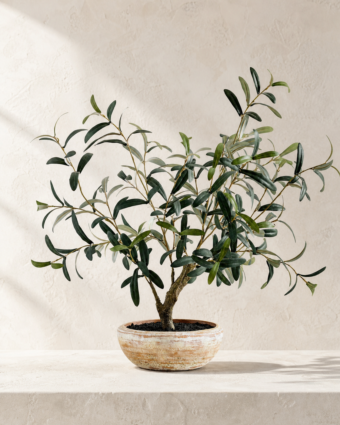Faux Potted Olive Houseplant — Restoration Planters editorial hero