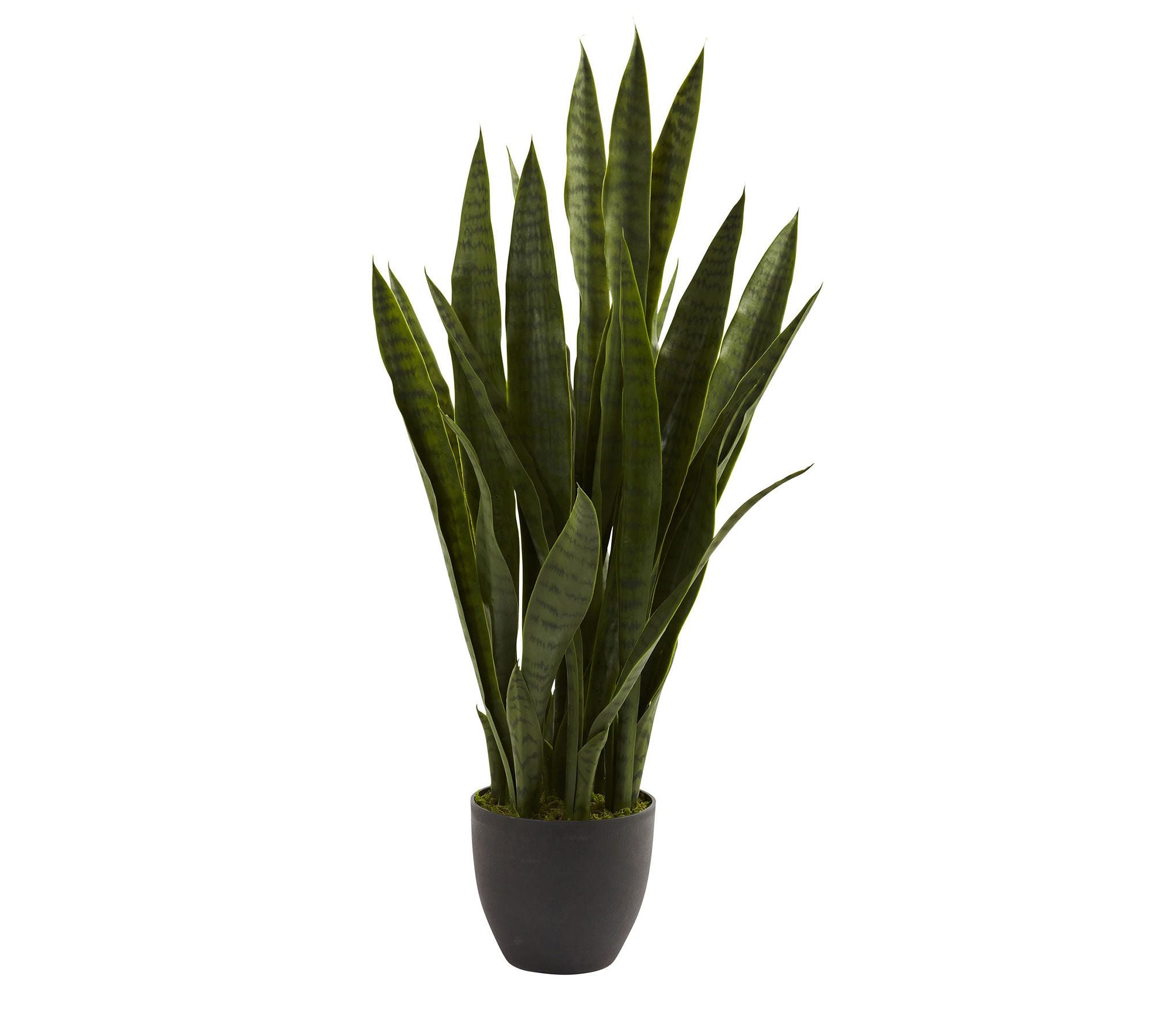 Faux Potted Sansevieria