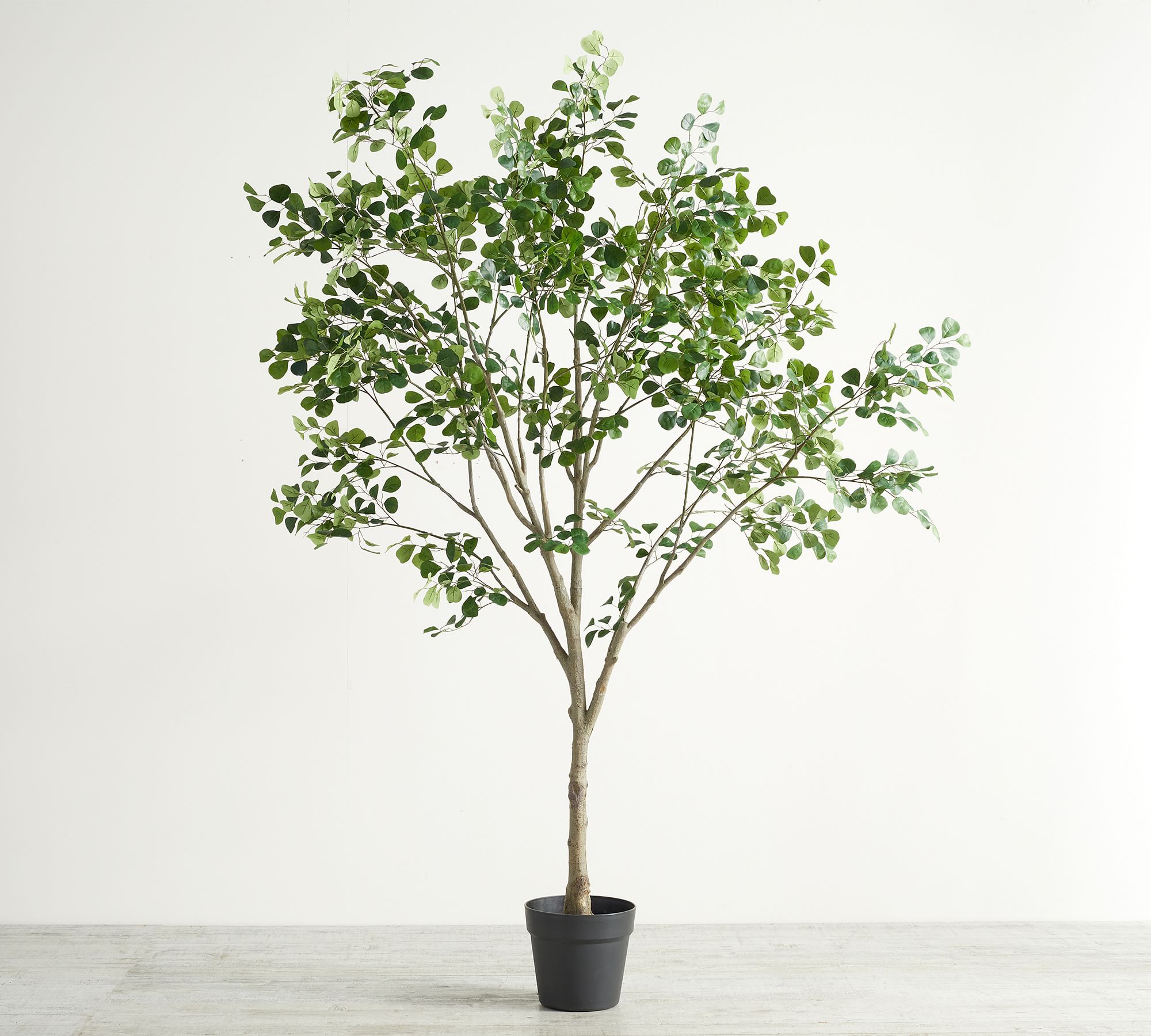 Faux Shady Lady Olive Tree, XXl, 9'