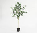 Faux Silver Dollar Eucalyptus, 9', Green