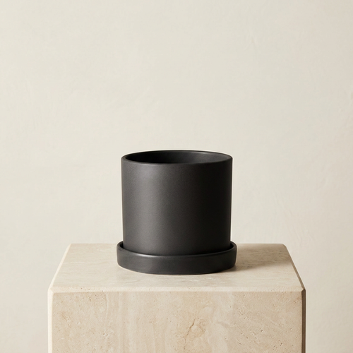 Hyde Planter — studio hero on limestone plinth
