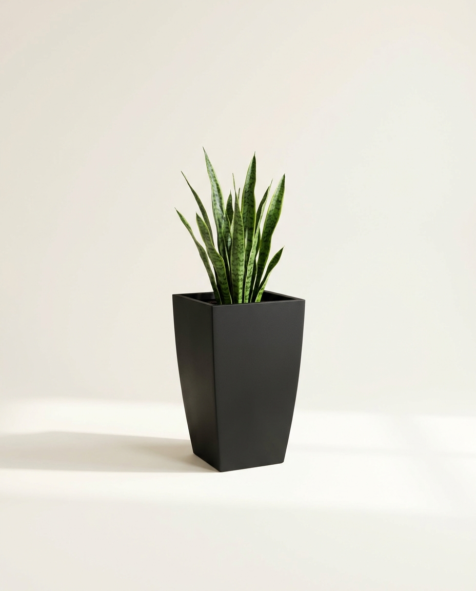 Mercer Tapered Square fiberglass planter in matte black with snake plant on warm white studio backdrop