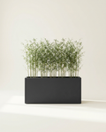 Hollis Rectangle Trough fiberglass planter in charcoal with bamboo on warm white studio backdrop