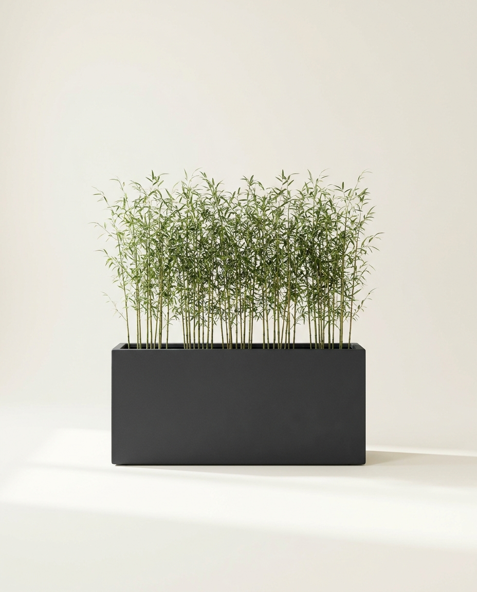 Hollis Rectangle Trough fiberglass planter in charcoal with bamboo on warm white studio backdrop