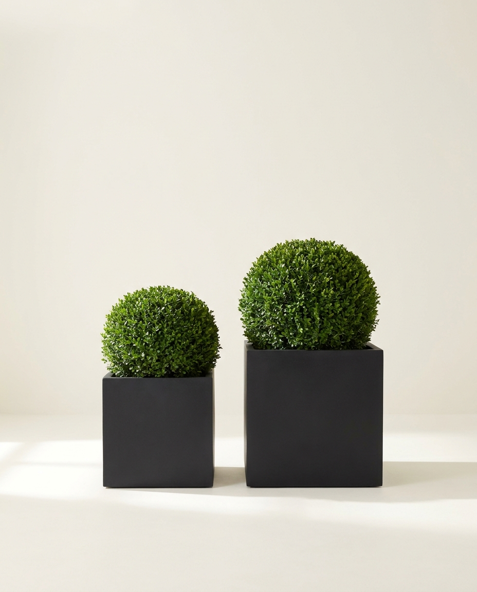 Terrace Duo pair of matte black fiberglass cube planters with boxwood on warm white studio backdrop